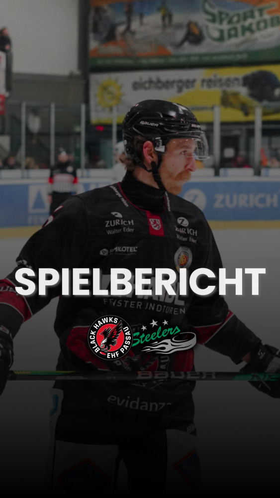 Spielbericht Bietigheim